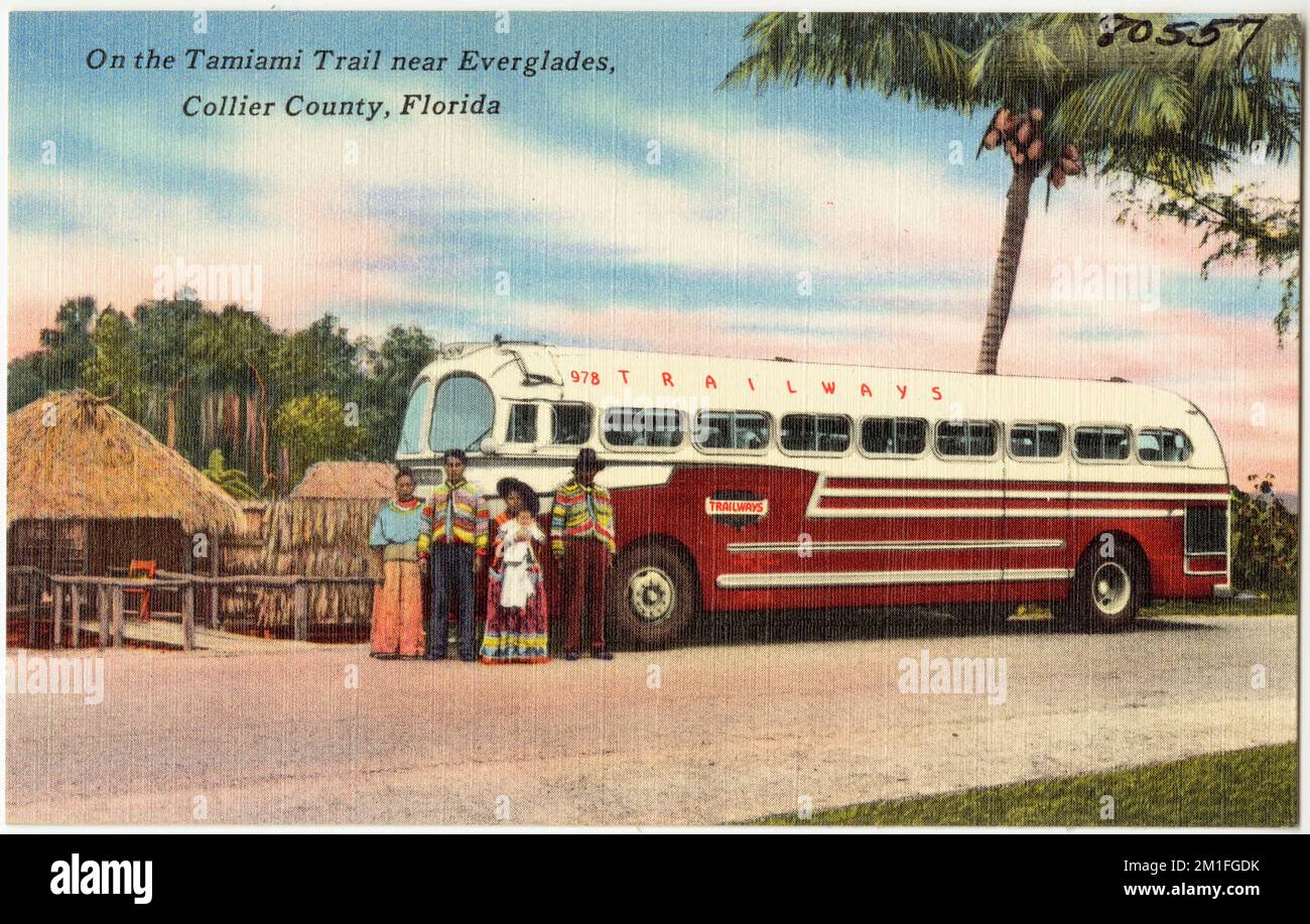 On the Tamiami Trail near everglades, Collier County, Florida , Tichnor