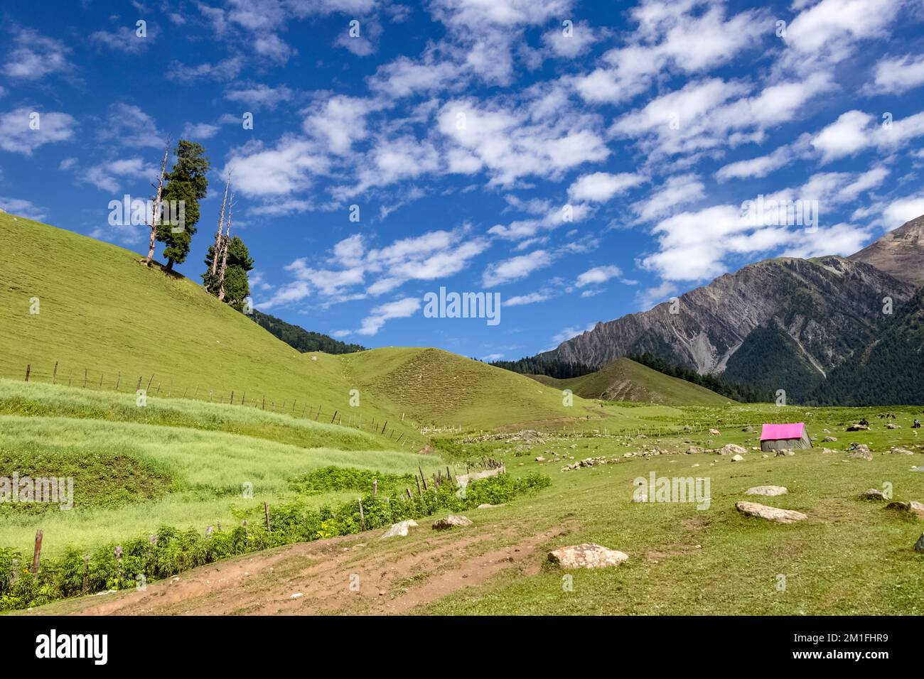 A beautiful shot of the lush green landscapes of Kashmir Stock Photo ...