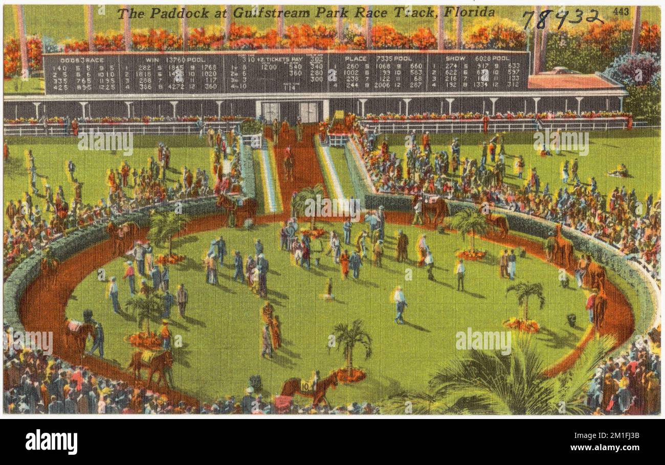 The paddock at Gulfstream Park race track, Florida , Sports & recreation facilities, Tichnor Brothers Collection, postcards of the United States Stock Photo