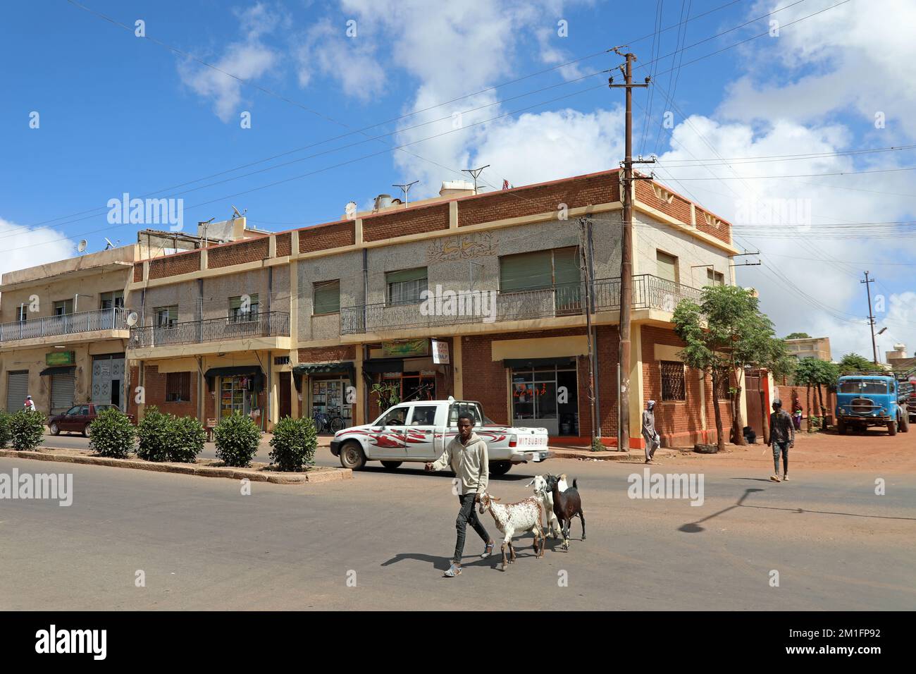 Boy crossing the street in Asmara city centre with his livestock Stock Photo