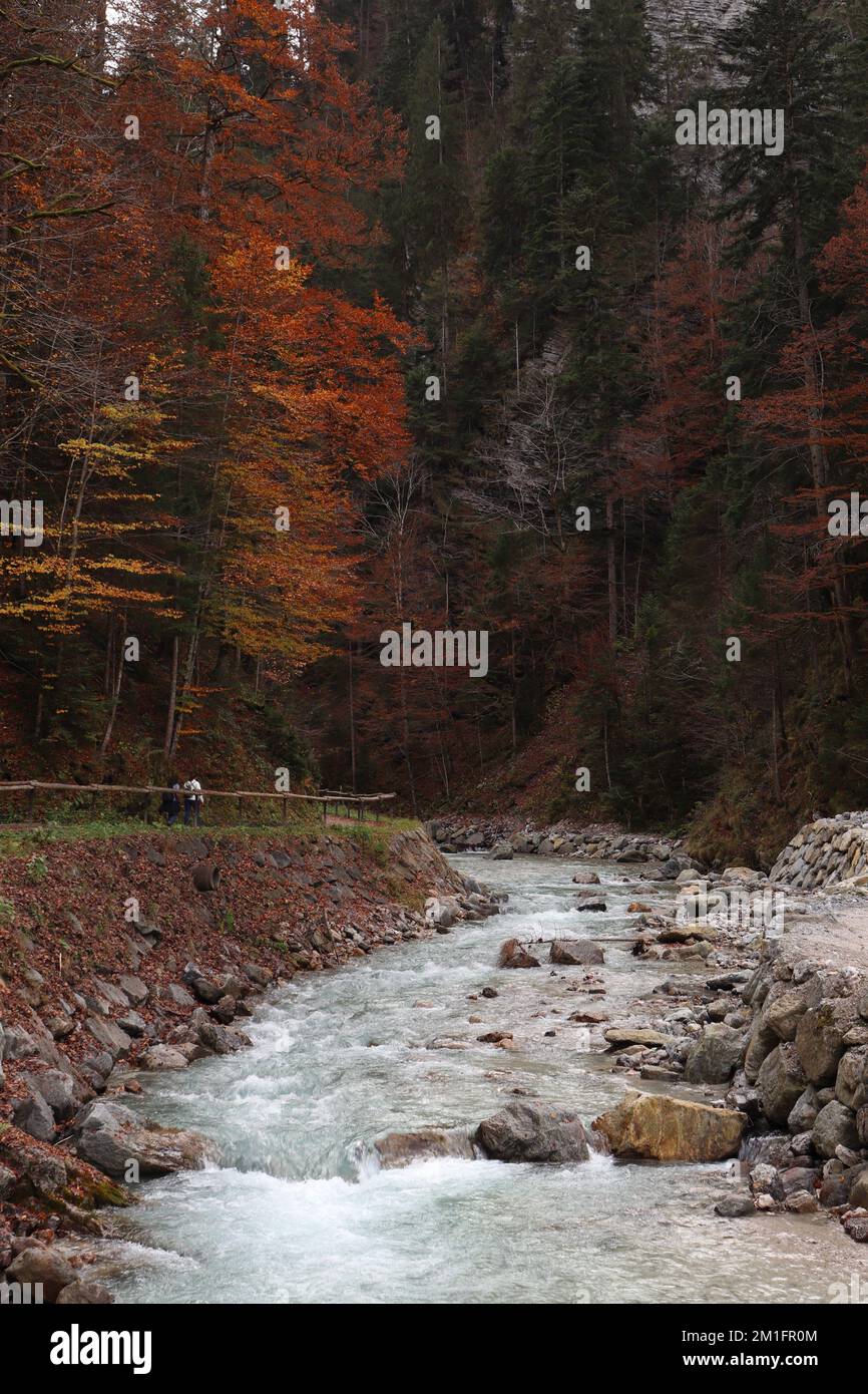 A vertical shot of a streaming rocky river in the beautiful autumn ...