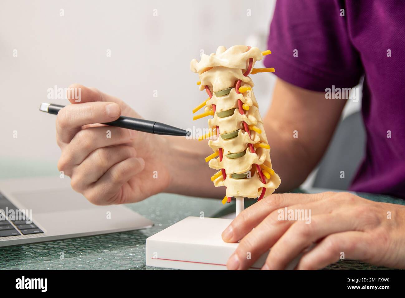 An Osteopath explaining the function of the intervertebral discs on a