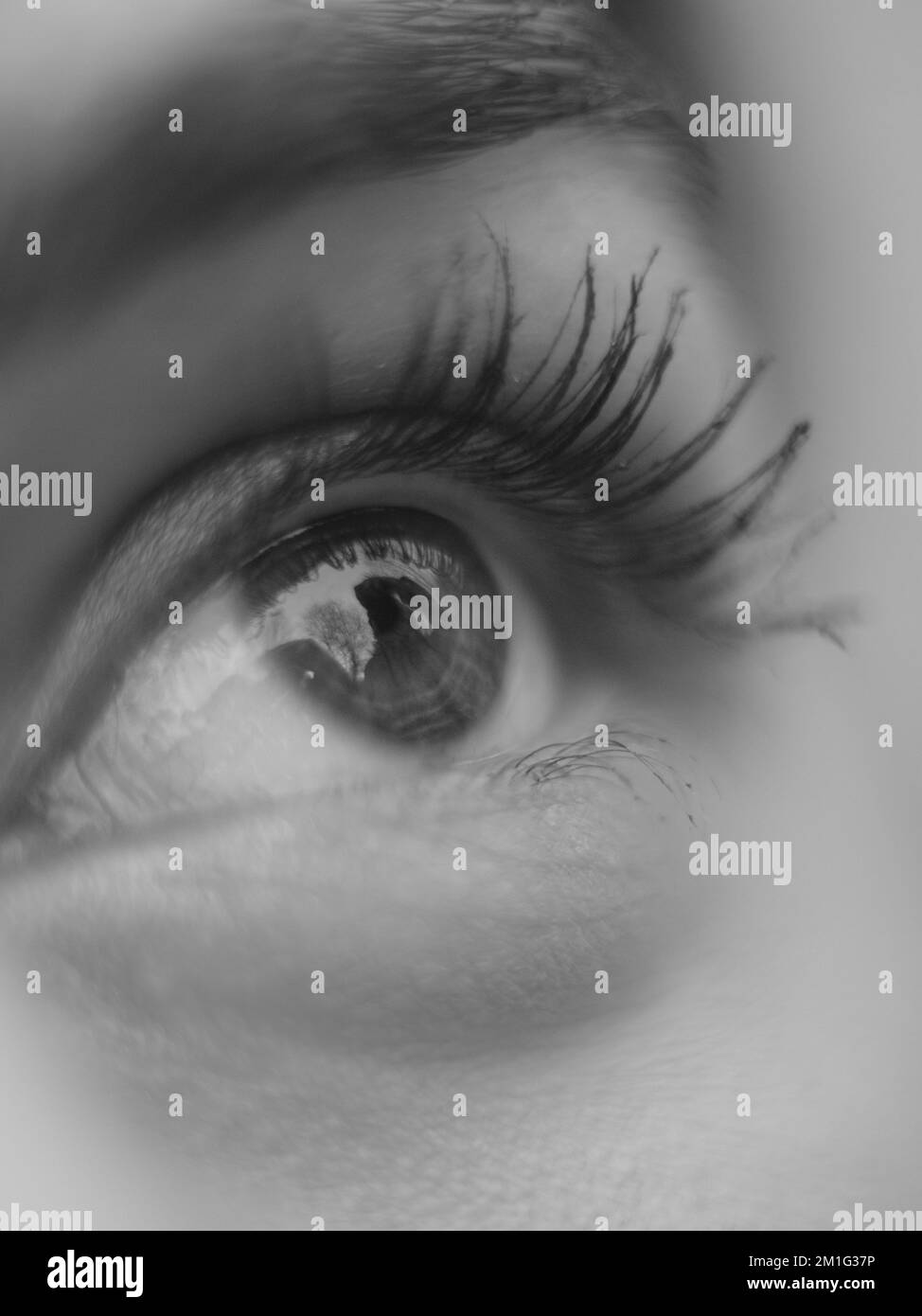 Iris eye Black and White Stock Photos & Images - Alamy