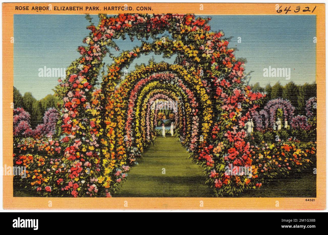Rose Arbor, Elizabeth Park, Hartford, Conn. , Parks, Tichnor Brothers Collection, postcards of the United States Stock Photo