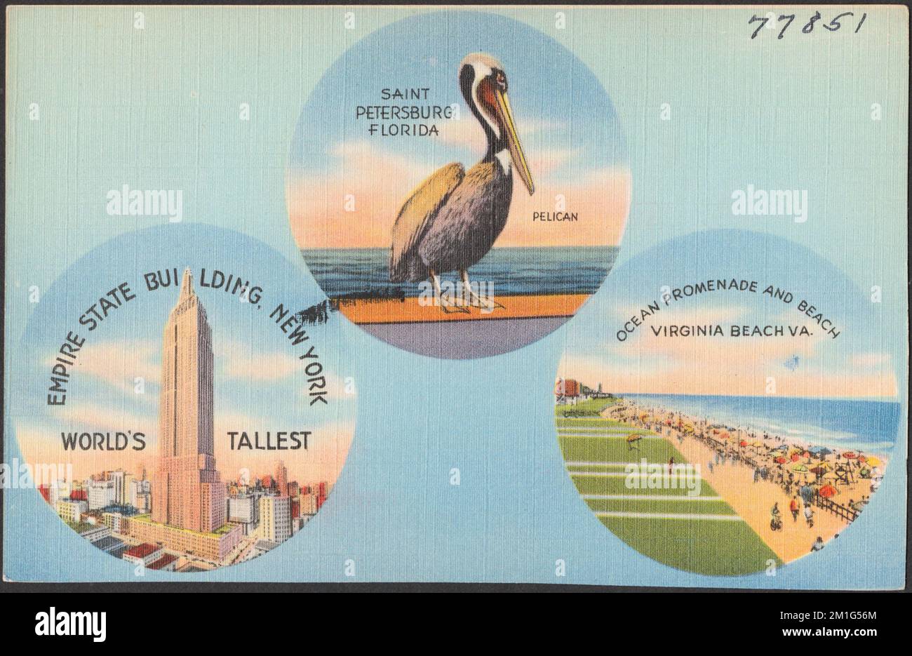 Saint Petersburg, Florida, pelican. Empire State Building, New York ...