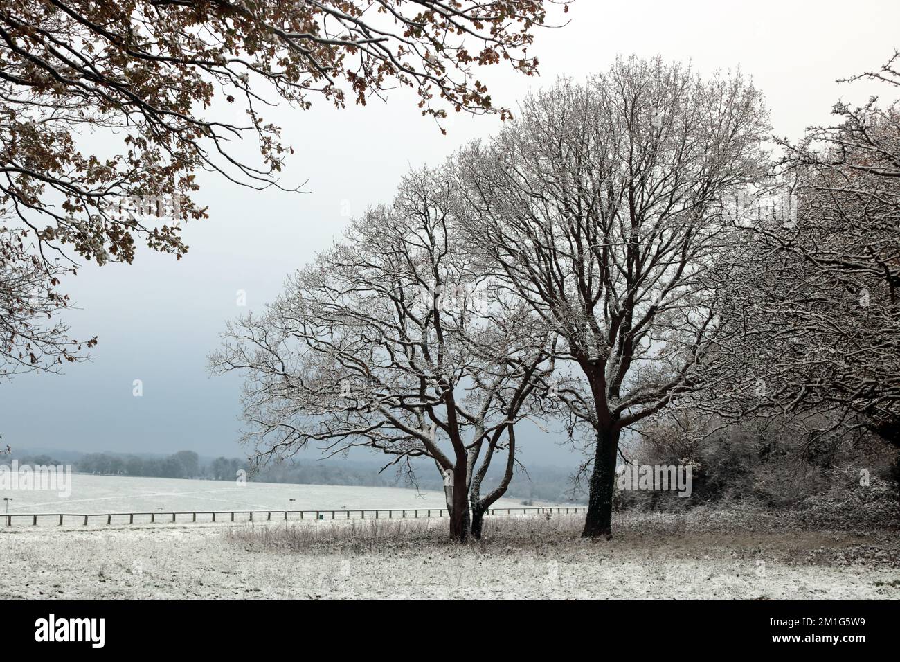 Epsom Downs Surrey, UK. 12th Dec, 2022. Although snow was forecast the amount that fell in southern England was a bit of a surprise. A good covering of snow on Epsom Downs today. Credit: Julia Gavin/Alamy Live News Stock Photo