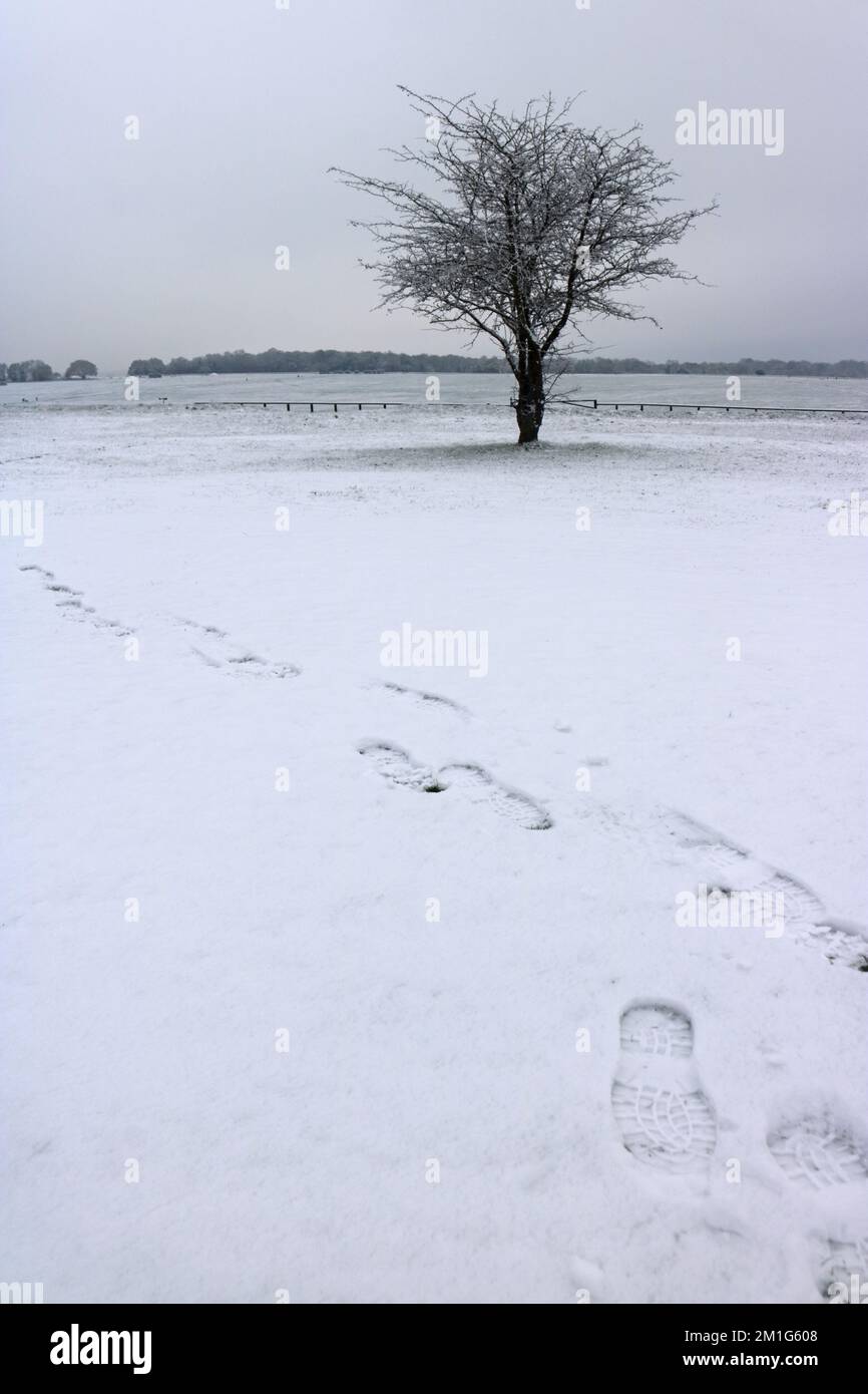Epsom Downs Surrey, UK. 12th Dec, 2022. Although snow was forecast the amount that fell in southern England was a bit of a surprise. A good covering of snow on Epsom Downs today. Credit: Julia Gavin/Alamy Live News Stock Photo