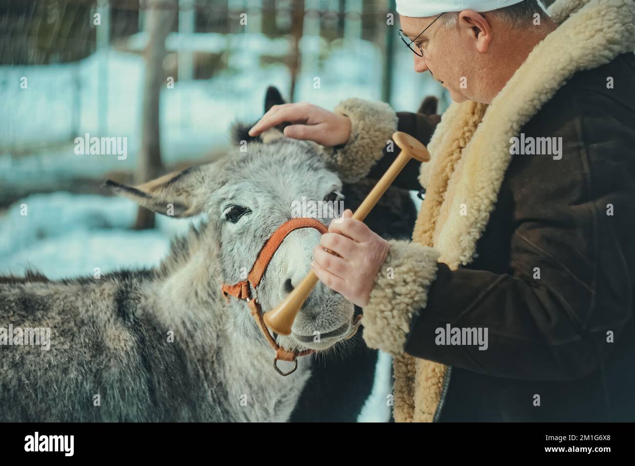 Veterinarian examining horse hi-res stock photography and images - Alamy