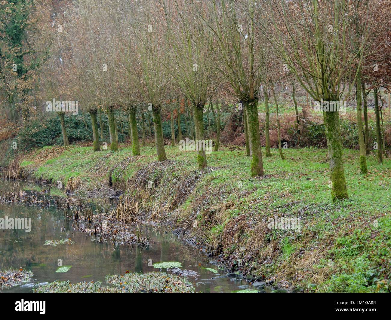 hiking at the dutch border in germany Stock Photo - Alamy