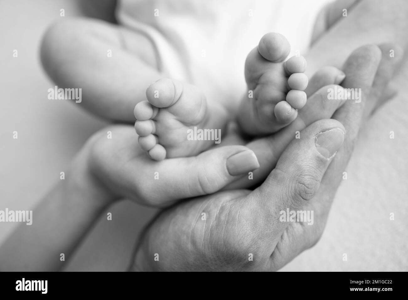 Baby feet in the hands of mother, father, older brother or sister
