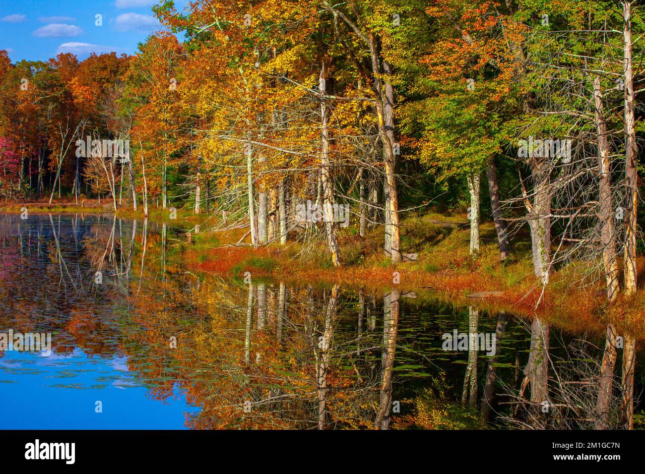 Egypt Mills Pond in autumn in Delaware Water Gap National Recreation Area, Pennsylvania Stock Photo
