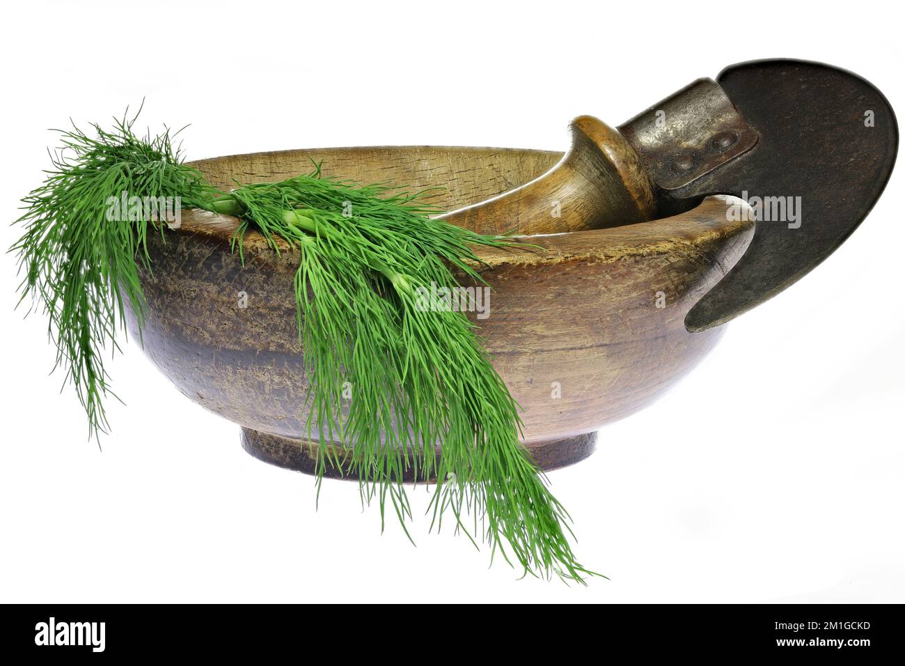 https://c8.alamy.com/comp/2M1GCKD/vintage-herb-chopper-with-fresh-dill-isolated-on-white-background-2M1GCKD.jpg