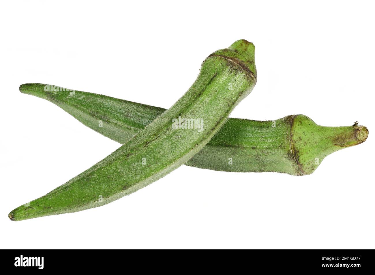 okra fruits isolated on white background Stock Photo