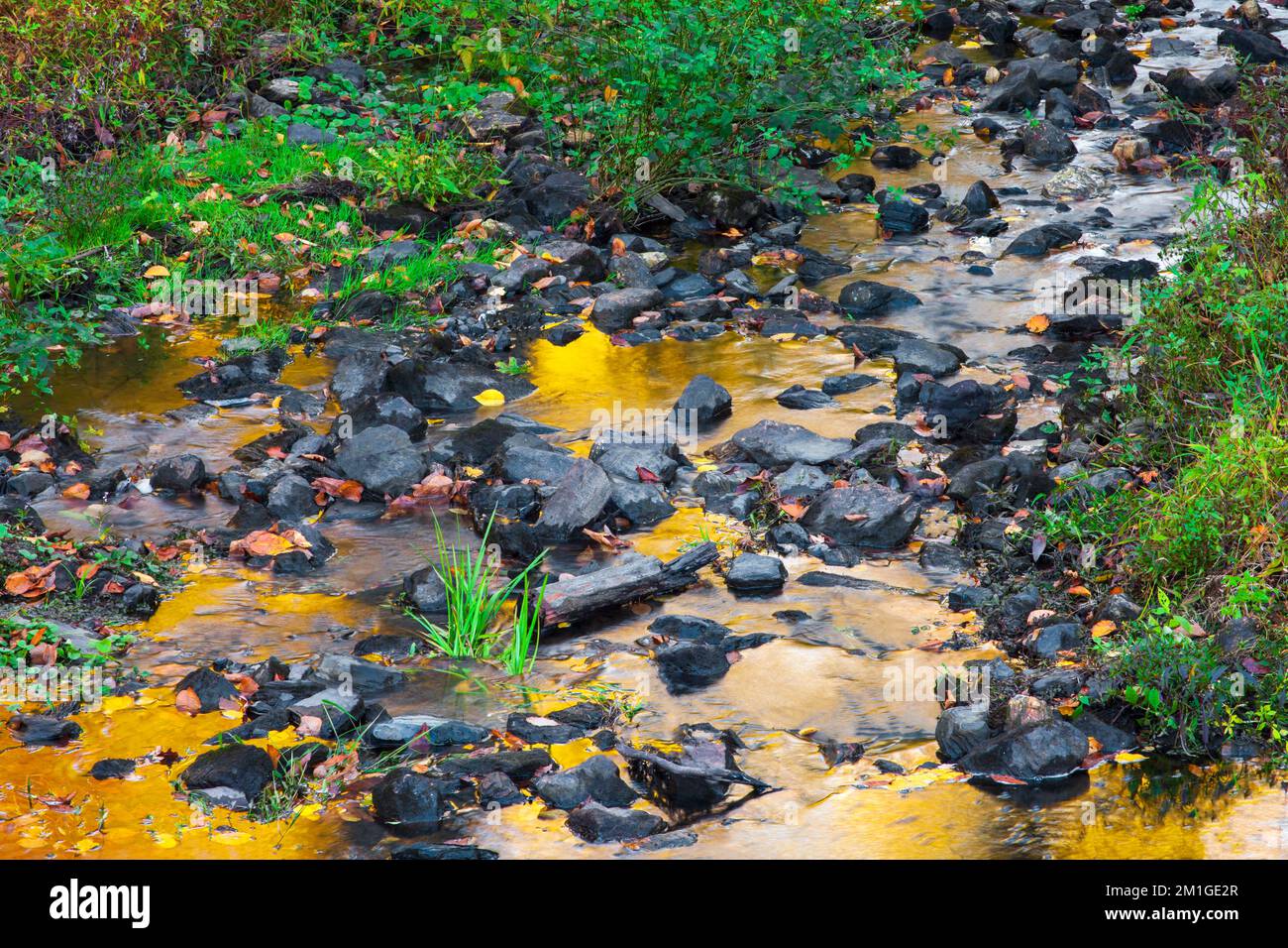 Autumn reflections in Big Egypt Creek in Delaware Water Gao National Recreation Area, Pennsylvania Stock Photo
