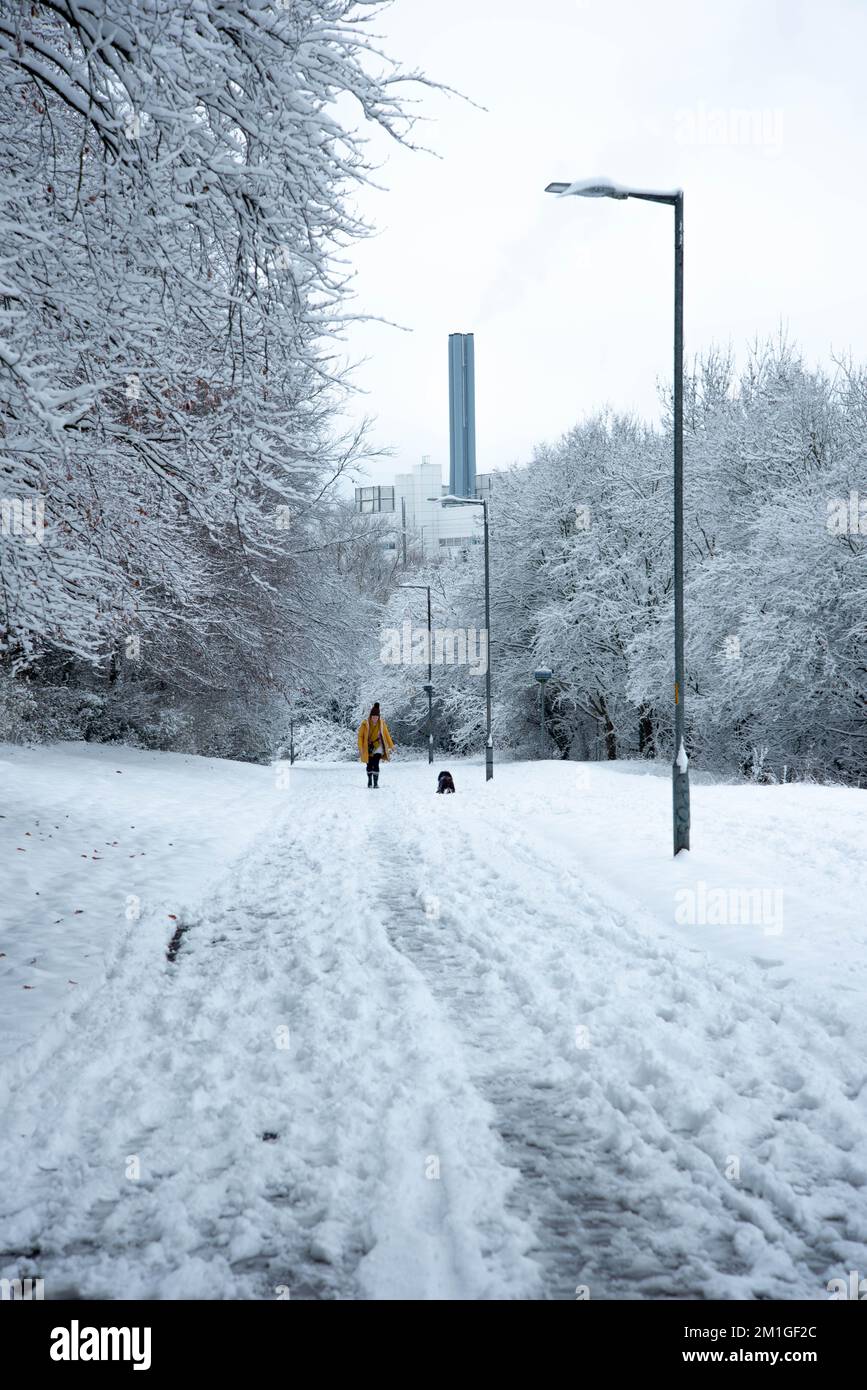 Winter weather conditions in Hertfordshire in the UK in 2022 heaviest fall in a decade Stock Photo