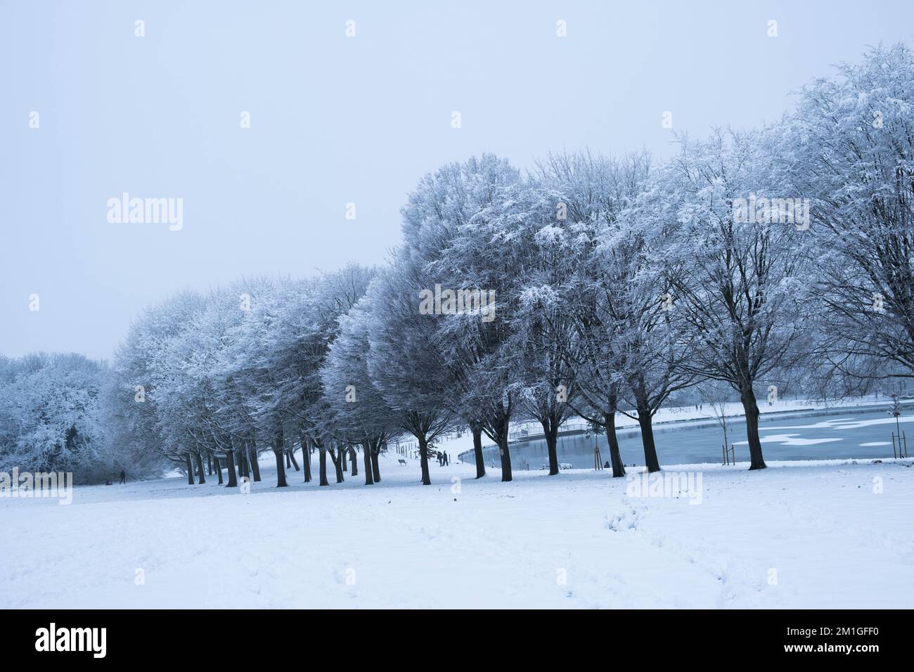 Winter weather conditions in Hertfordshire in the UK in 2022 heaviest fall in a decade Stock Photo