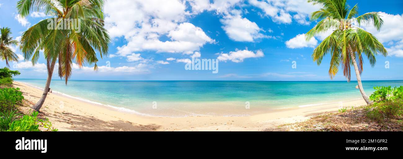 panorama of tropical beach with coconut palm trees Stock Photo - Alamy