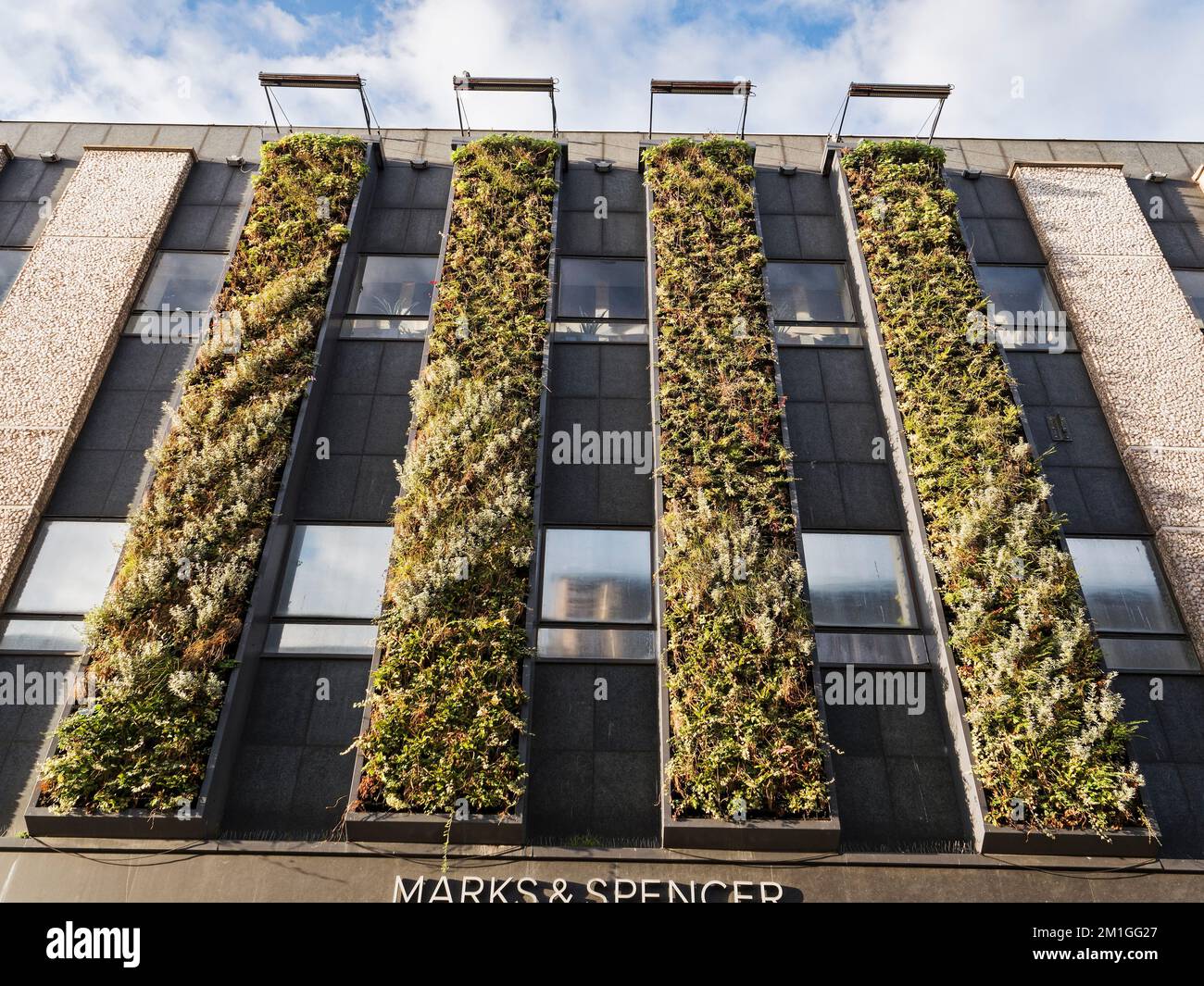 Living wall on Marks and Spencer department store, Northumberland, Street, Newcastle upon Tyne, UK Stock Photo