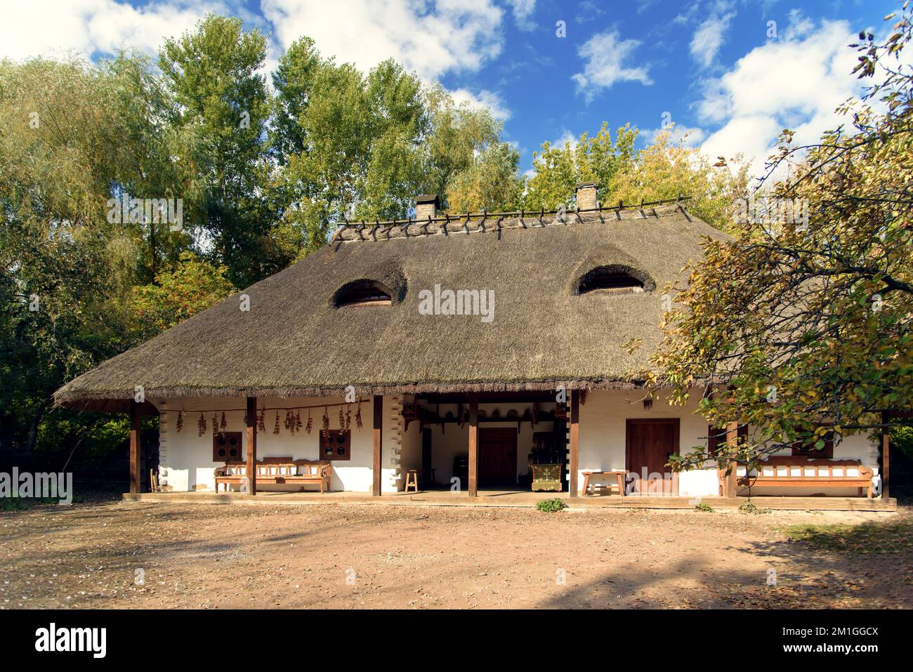 Ukrainian reed hi-res stock photography and images - Alamy