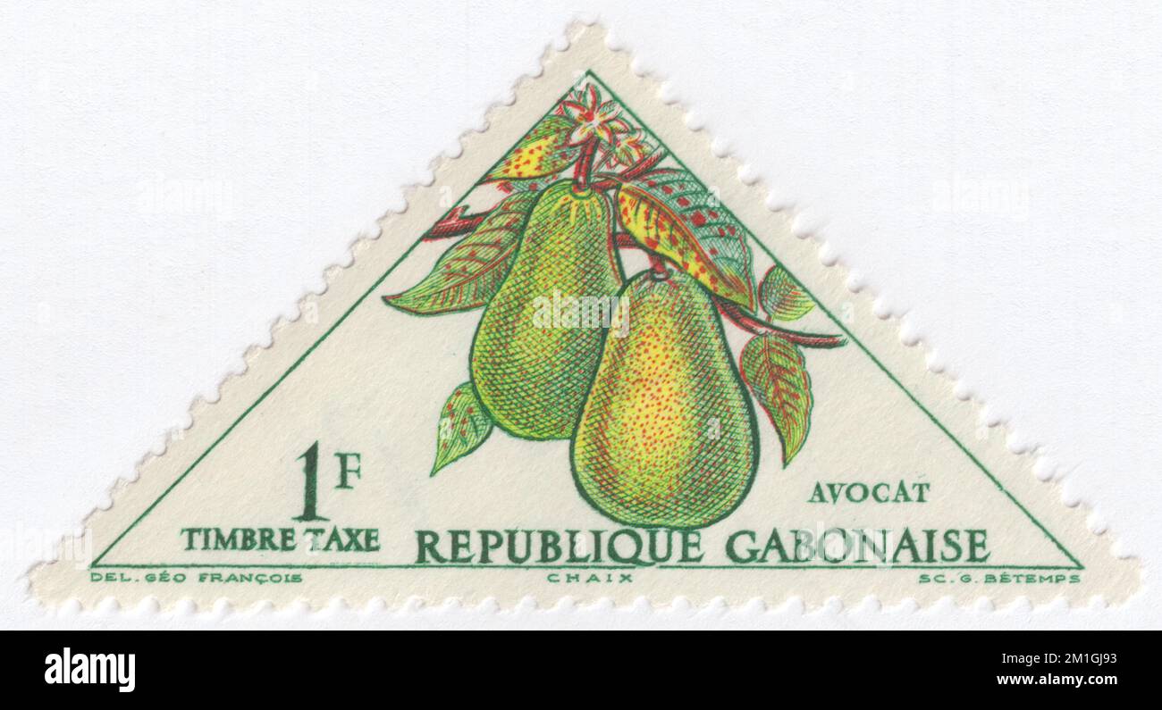 GABON - 1962 December 10: An 1 franc multicolored postage due stamp depicting Avocados. The avocado (Persea americana) is a medium-sized, evergreen tree in the laurel family (Lauraceae). It is native to the Americas and was first domesticated by Mesoamerican tribes more than 5,000 years ago. Then as now it was prized for its large and unusually oily fruit. The tree likely originated in the highlands bridging south-central Mexico and Guatemala. Its fruit, sometimes also referred to as an alligator or avocado pear, is botanically a large berry containing a single large seed Stock Photo