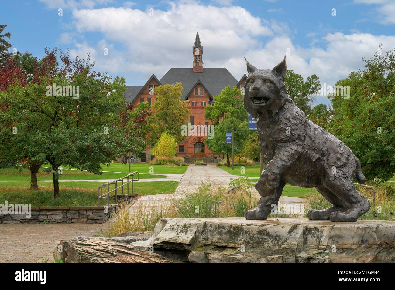 Bronze bobcat sculpture, Spirit, at Alumni Plaza on the campus of Montana State University in Bozeman, Montana Stock Photo