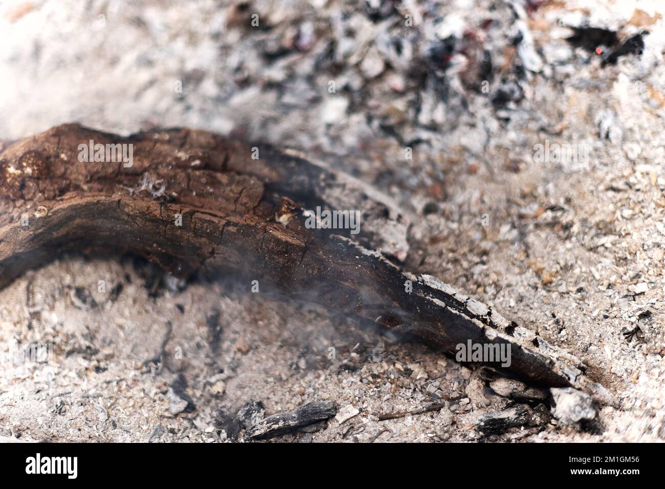 Close-up of the embers of a bonfire with abundant ash Stock Photo
