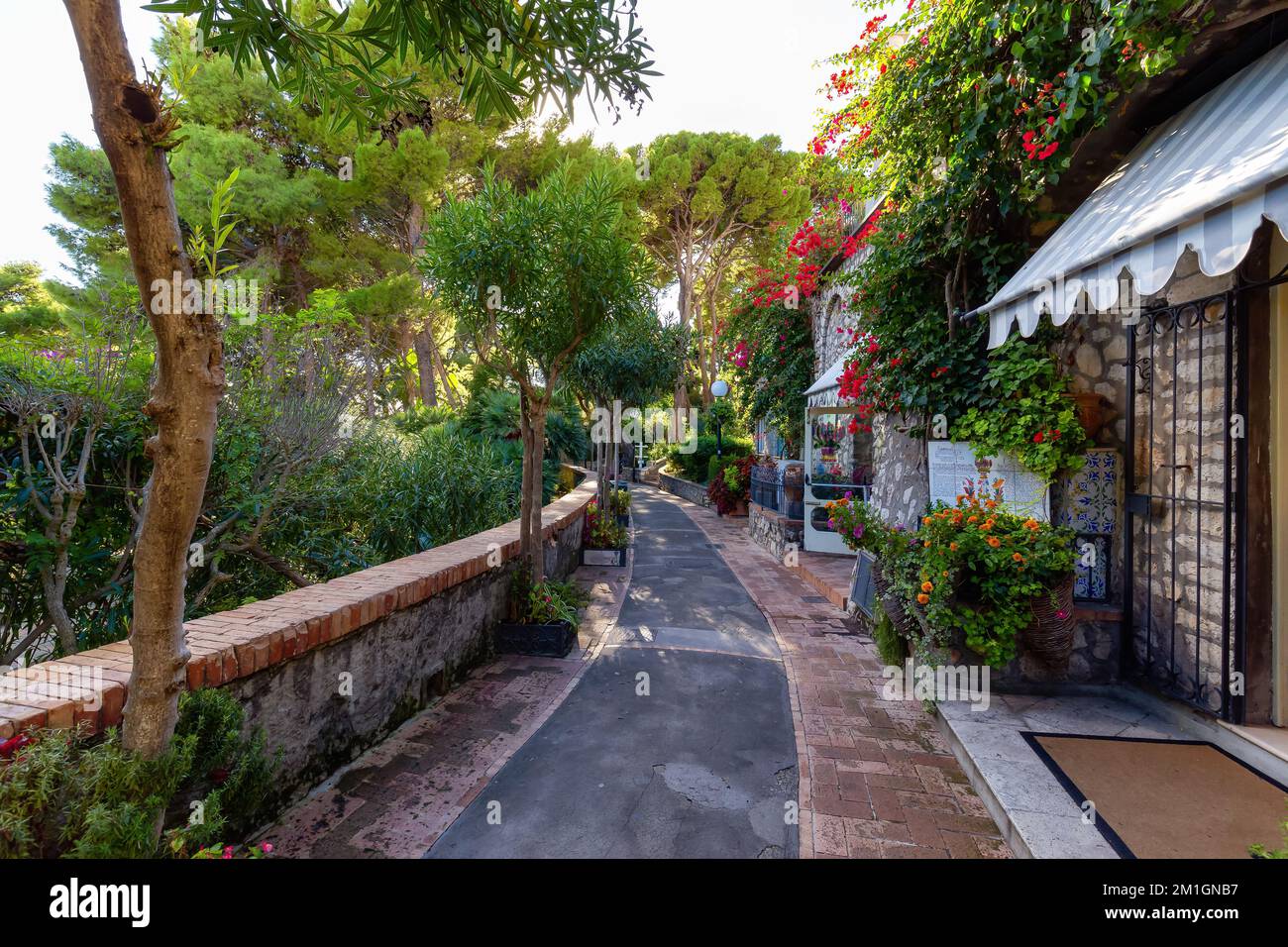 Path in a Garden with trees and flowers. Capri Island, Italy. Stock Photo