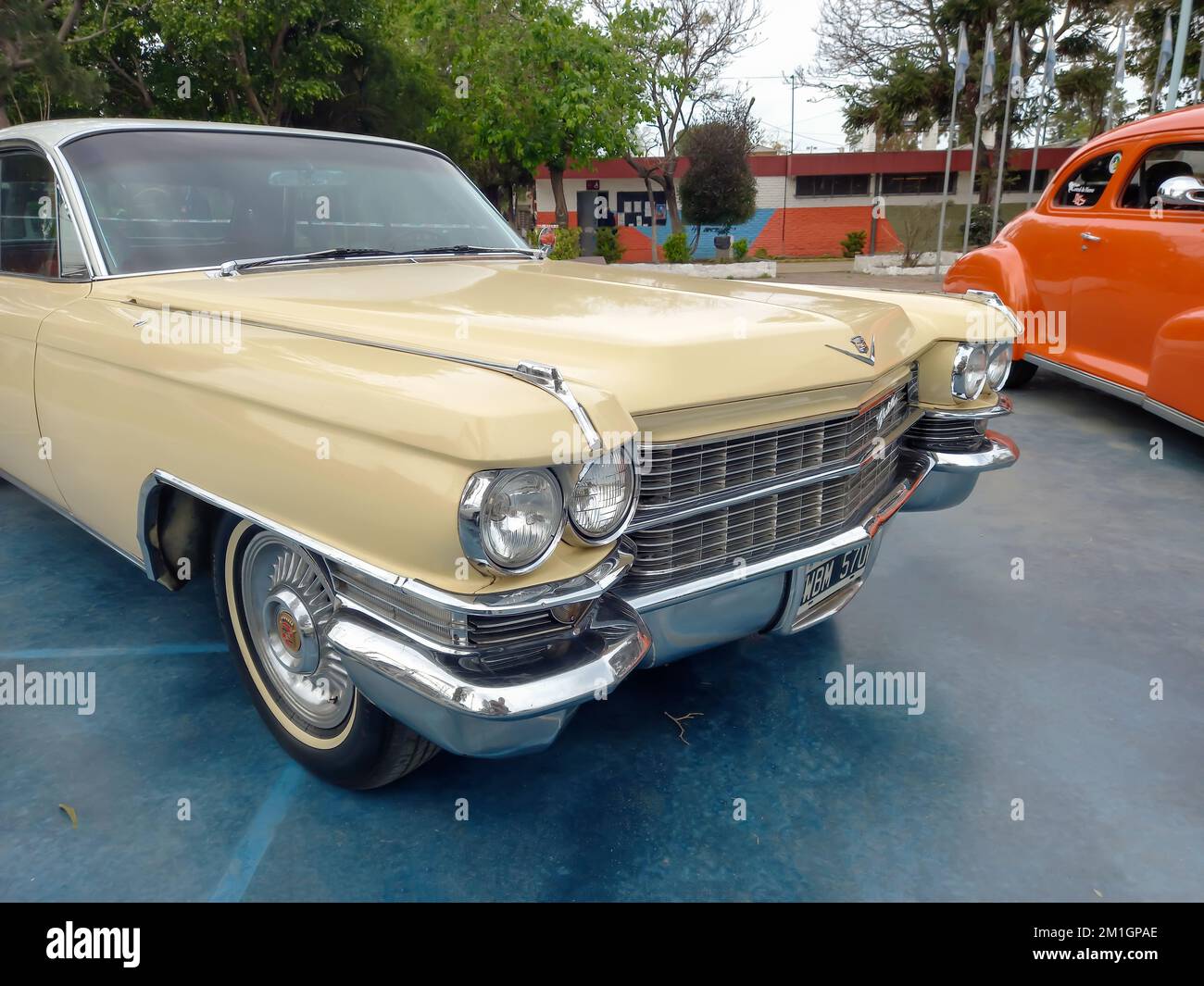 Old cream luxury 1960s Cadillac four door sedan in a park. Sunny