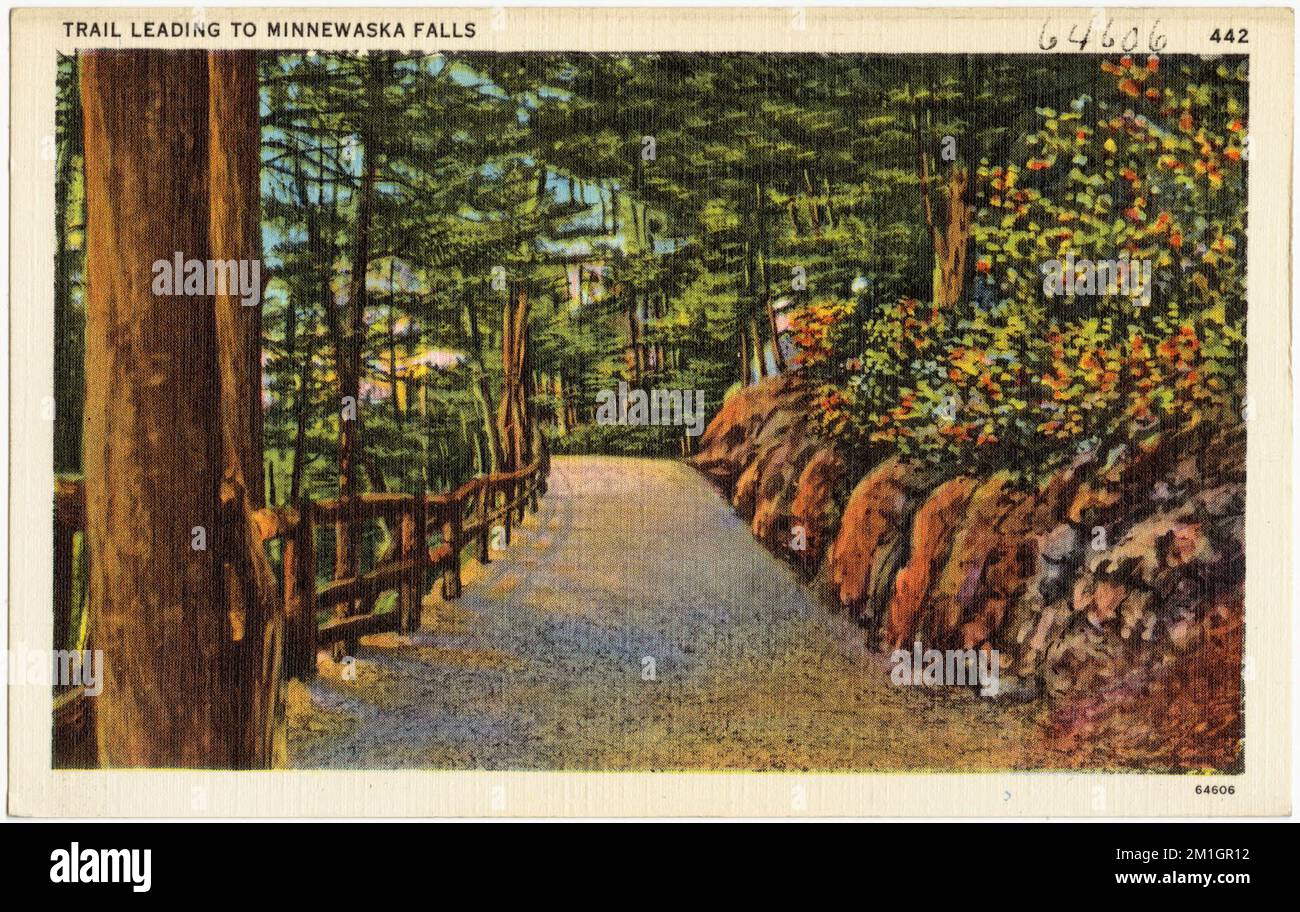 Trail leading to Minnewaska Falls , Tichnor Brothers Collection ...