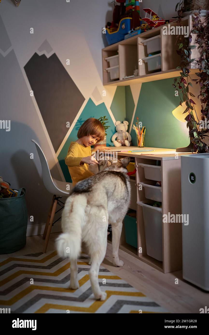 Allergy Child, pet dog and air purifier in children's room Stock Photo