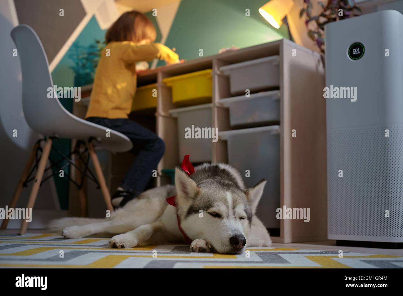 Air purifier in the children's room with an allergy child and a dog Stock Photo
