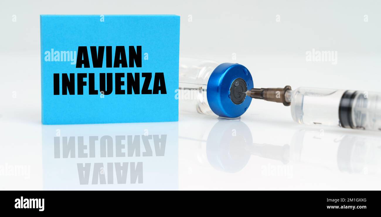 Medicine concept. On a white reflective surface are a syringe, an ...