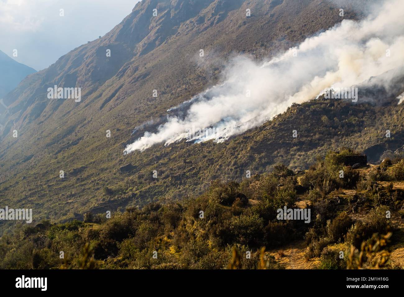 The large plumes of fire smoke on top of a mountain in the Peruvian ...