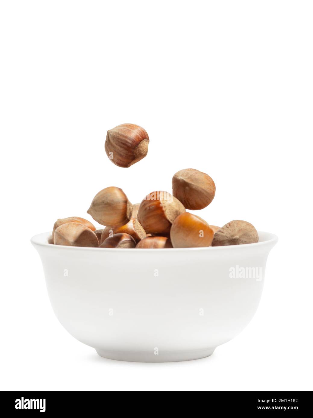 Hazelnuts in a white cup on a white isolated background Stock Photo