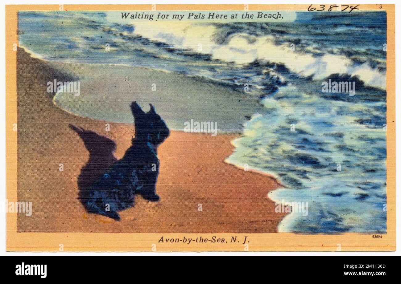 Waiting for my pals here at the beach, Avon-by-the-Sea, N. J. , Beaches, Tichnor Brothers Collection, postcards of the United States Stock Photo