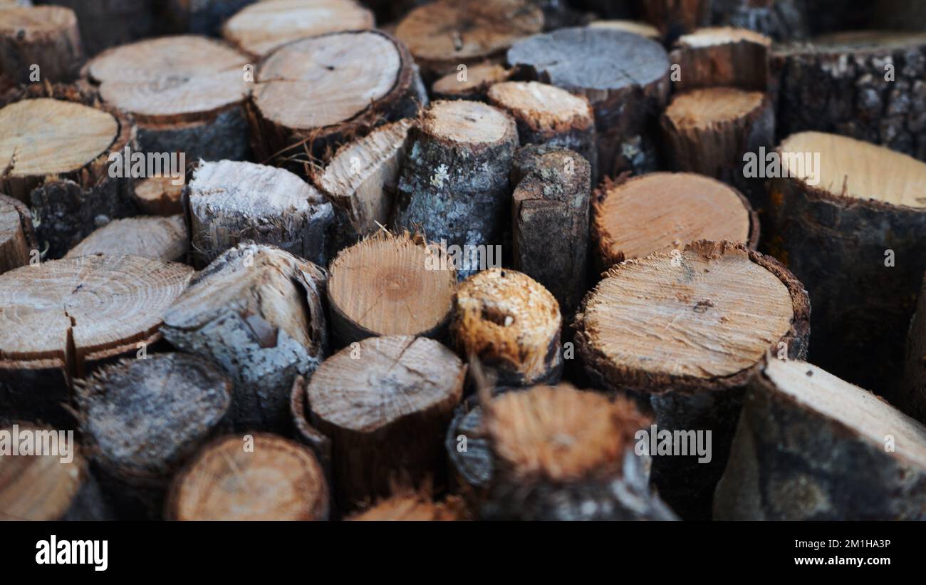 Stack of fire wood, resources for heating stove in winter Stock Photo