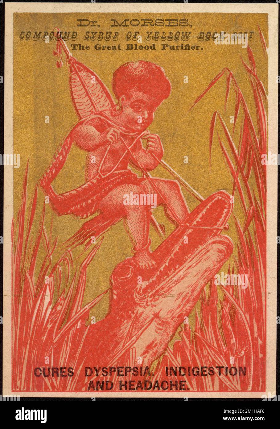 Dr. Morses, compound syrup of yellow dock foo, the great blood purifier