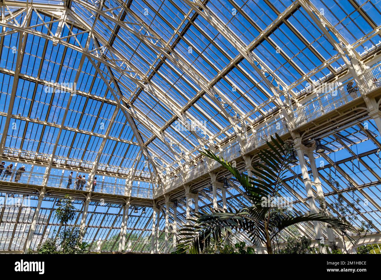 Iron and glass roof and mezzanine walkways of newly refurbished and reopened Temperate House in Kew Gardens, London, UK Stock Photo
