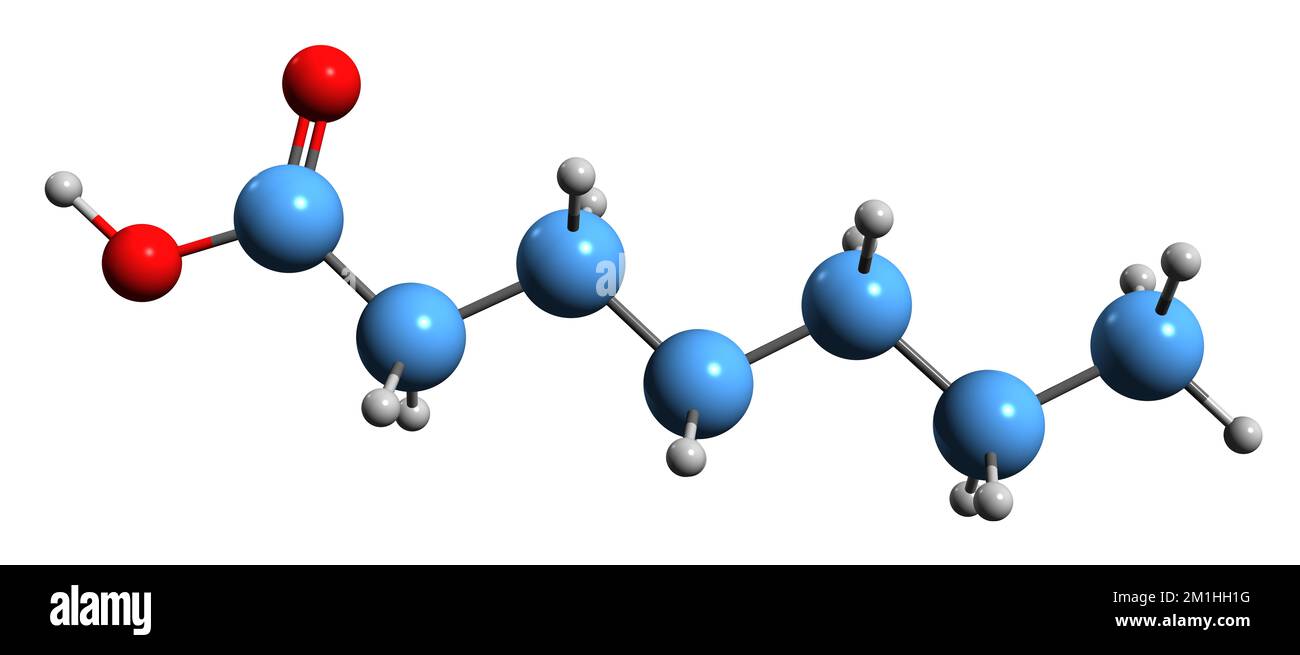 3D image of Enanthic acid skeletal formula - molecular chemical structure of heptanoic acid isolated on white background Stock Photo