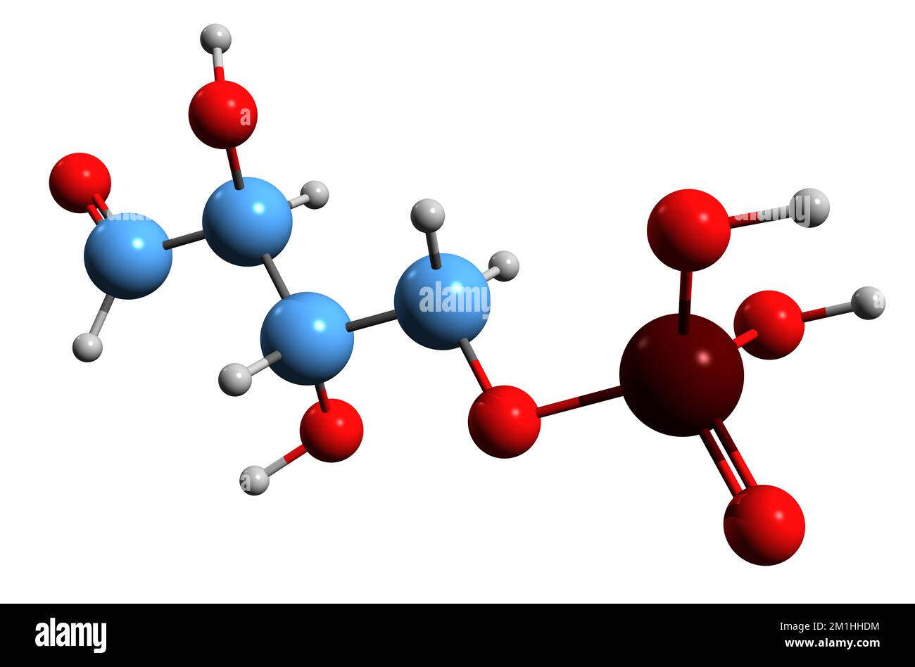 3D image of Erythrose 4-phosphate skeletal formula - molecular chemical structure of E4P isolated on white background Stock Photo