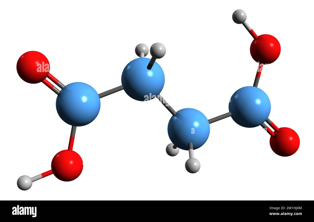 3D image of Succinic acid skeletal formula - molecular chemical structure of Butanedioic acid isolated on white background Stock Photo