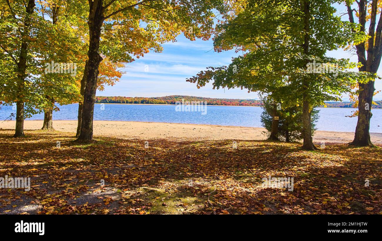 Fall beach leaf hi-res stock photography and images - Alamy