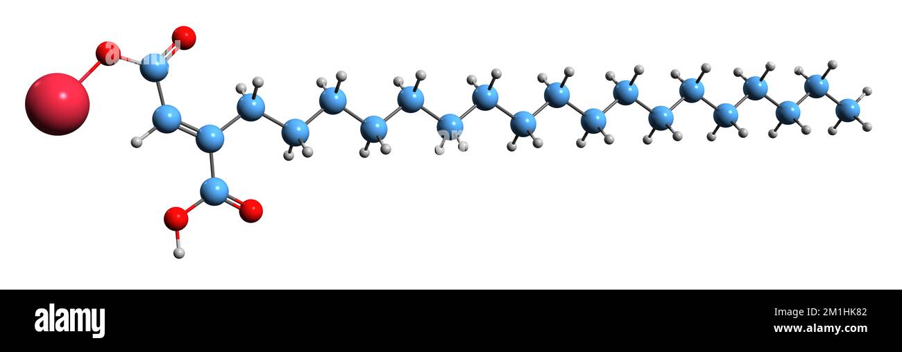 3D image of Sodium Stearyl Fumarate skeletal formula - molecular chemical structure of  food additive isolated on white background Stock Photo