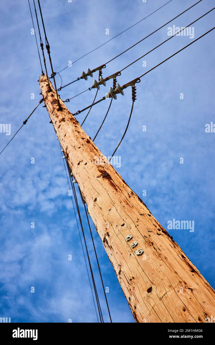 Looking up at light brown telephone pole with blue sky and numbers 5 9