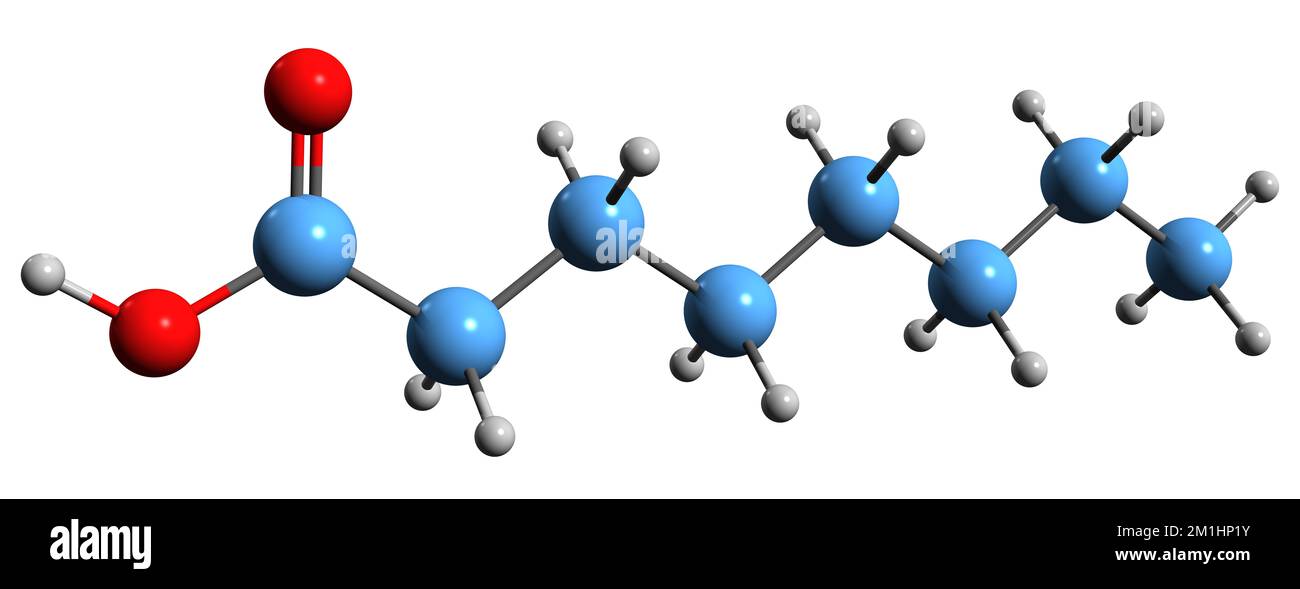 3D image of Caprylic acid skeletal formula - molecular chemical structure of Octylic acid isolated on white background Stock Photo