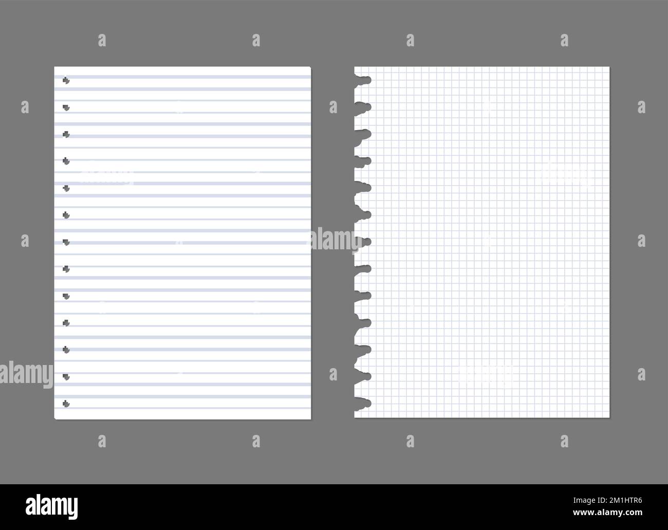 Exercise book paper page background. Notebook sheet lined texture