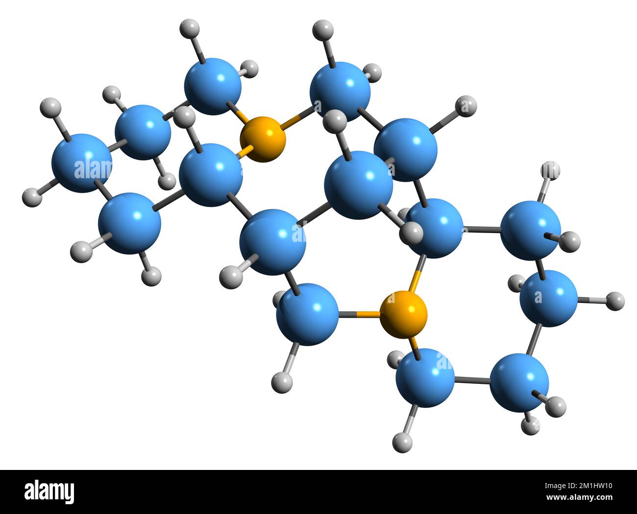 3D image of Sparteine skeletal formula - molecular chemical structure of  antiarrhythmic agent Pachycarpine isolated on white background Stock Photo
