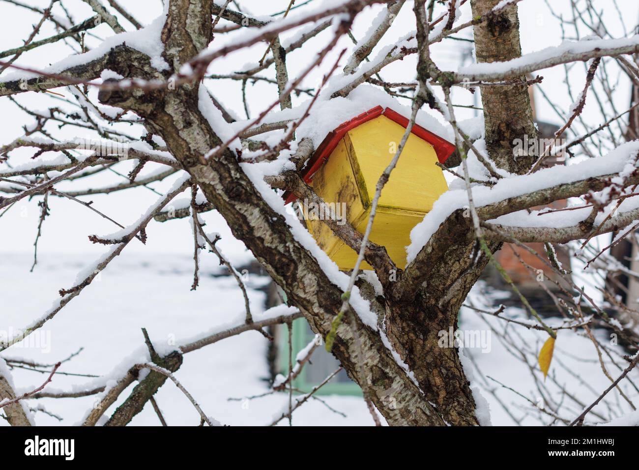 Bird house/ bird feeder covered in snow in the winter Stock Photo