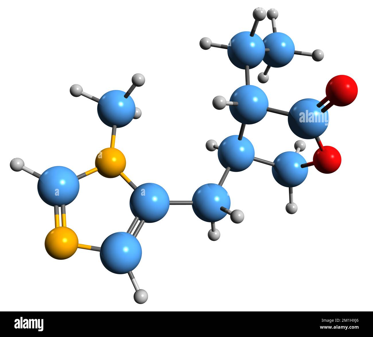 primary-open-angle-glaucoma-hi-res-stock-photography-and-images-alamy