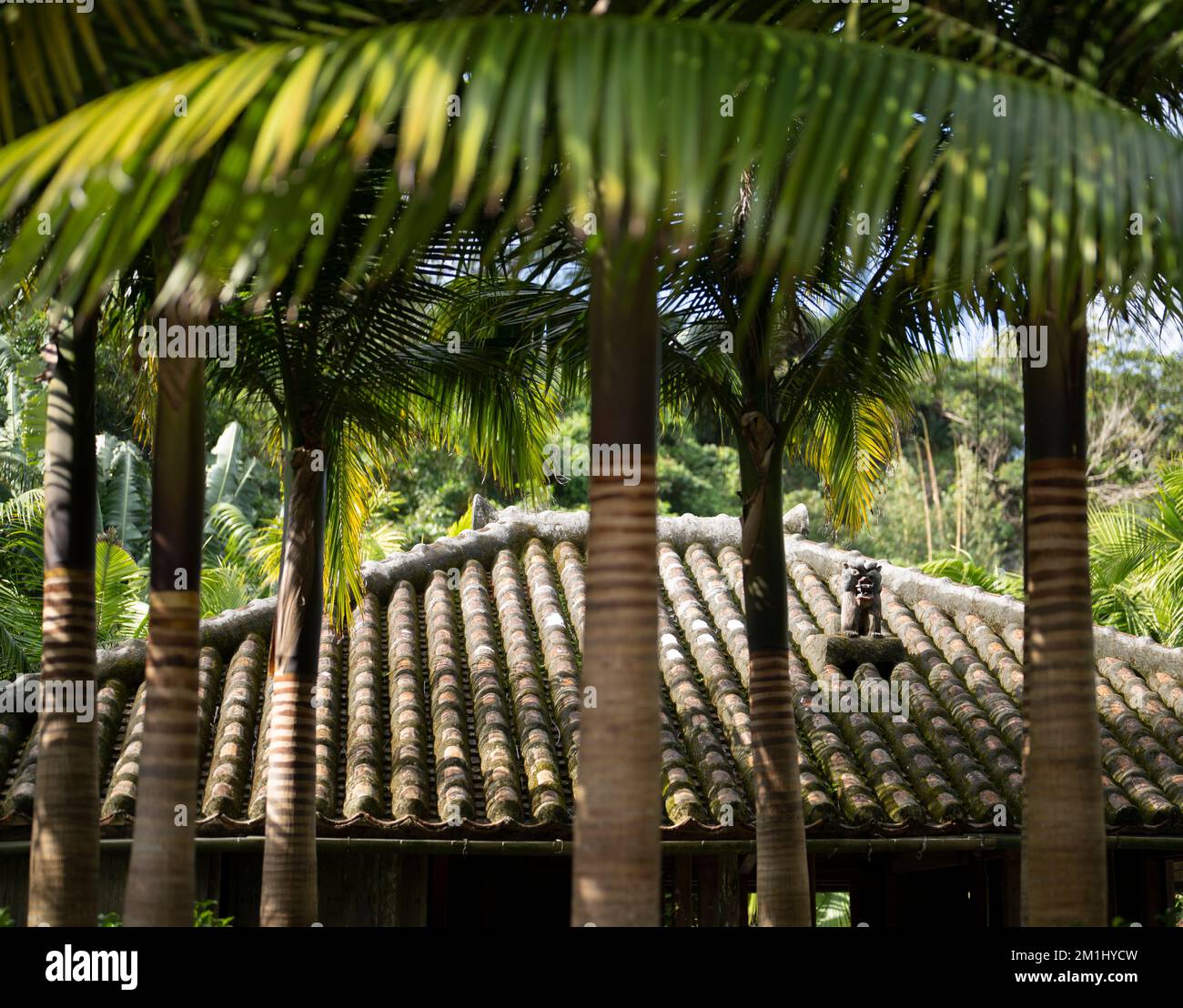 Traditional Okinawan house with tile roof and palm trees Stock Photo